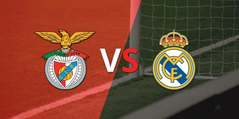 Soi kèo Benfica vs Real Madrid, 3h ngày 29/01 - Cúp C1 6 Soi kèo Benfica vs Real Madrid, 3h ngày 29/01 – Cúp C1