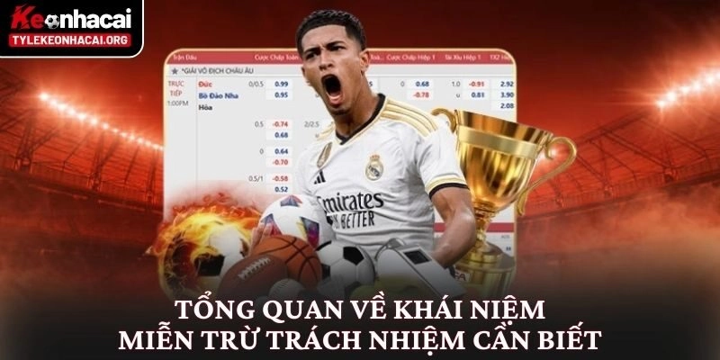Miễn trừ trách nhiệm 1 Tổng quan về khái niệm miễn trừ trách nhiệm cần biết
